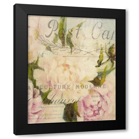 Summer Blooming Series C Black Modern Wood Framed Art Print by Kimberly, Allen
