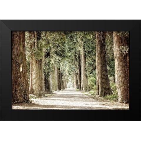 Along the Path Black Modern Wood Framed Art Print by Kimberly, Allen
