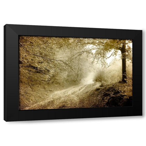 Autumn walk Black Modern Wood Framed Art Print with Double Matting by Kimberly, Allen
