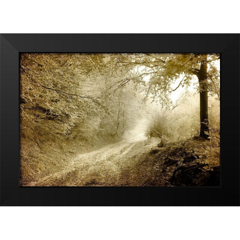Autumn walk Black Modern Wood Framed Art Print by Kimberly, Allen