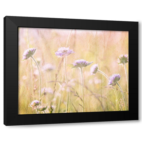 Hazy Afternoon Sun 1 Black Modern Wood Framed Art Print with Double Matting by Kimberly, Allen