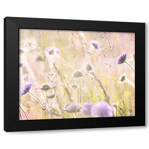 Hazy Afternoon Sun 2 Black Modern Wood Framed Art Print with Double Matting by Kimberly, Allen