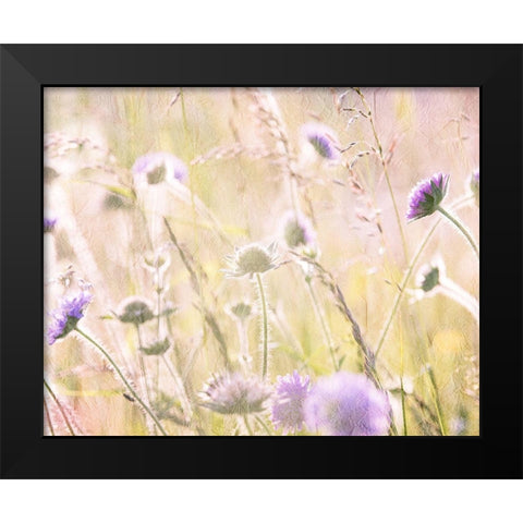 Hazy Afternoon Sun 2 Black Modern Wood Framed Art Print by Kimberly, Allen