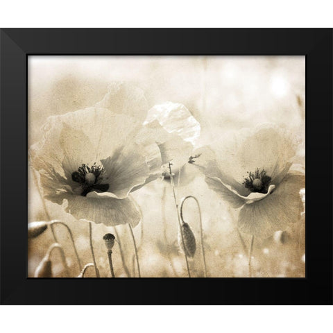 Vintage Poppy 1 Black Modern Wood Framed Art Print by Kimberly, Allen