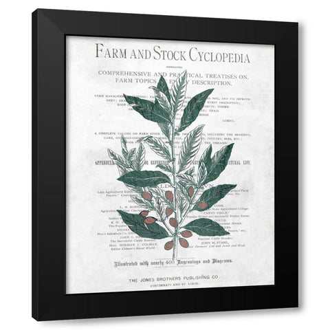 Botanical 1 Black Modern Wood Framed Art Print by Kimberly, Allen