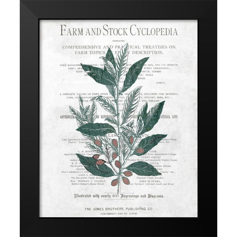 Botanical 1 Black Modern Wood Framed Art Print by Kimberly, Allen