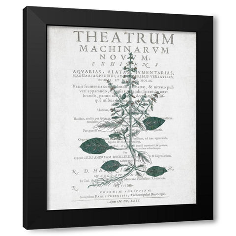 Botanical 2 Black Modern Wood Framed Art Print by Kimberly, Allen