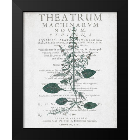Botanical 2 Black Modern Wood Framed Art Print by Kimberly, Allen