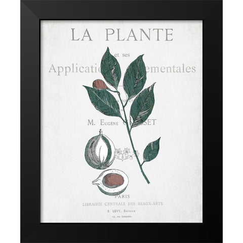Botanical 3 Black Modern Wood Framed Art Print by Kimberly, Allen