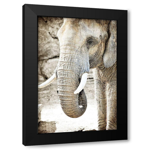 Ageless Black Modern Wood Framed Art Print with Double Matting by Kimberly, Allen