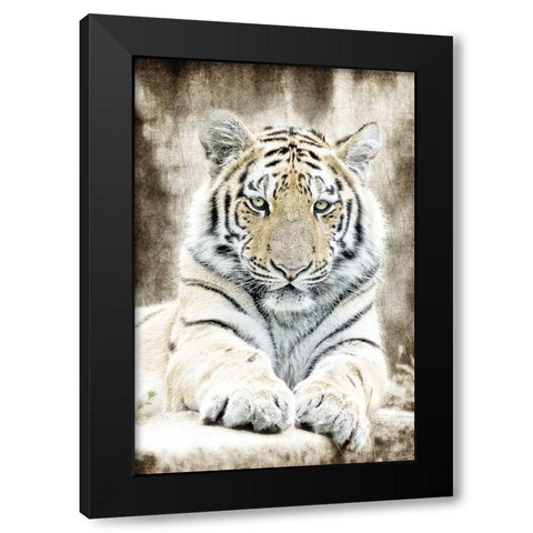Concentration Black Modern Wood Framed Art Print by Kimberly, Allen
