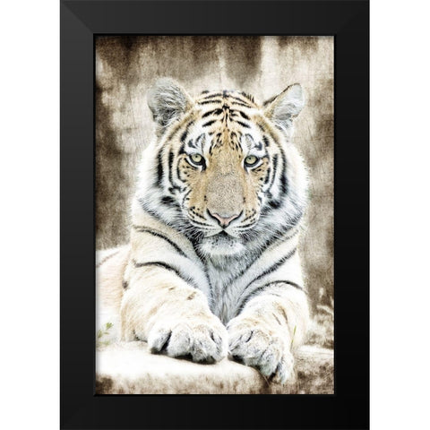 Concentration Black Modern Wood Framed Art Print by Kimberly, Allen