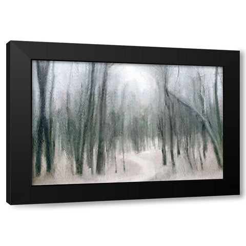 Shrouded Forest 1 Black Modern Wood Framed Art Print with Double Matting by Allen, Kimberly