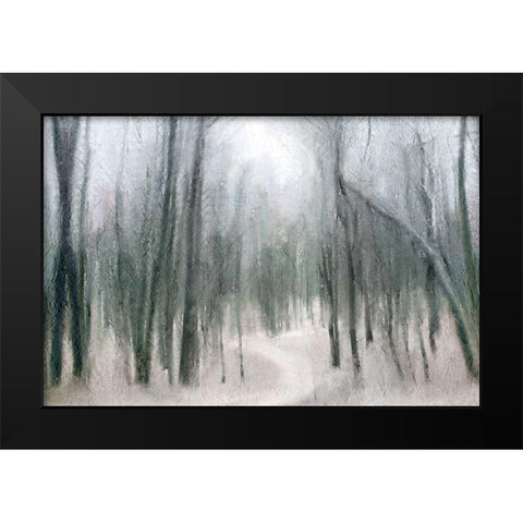 Shrouded Forest 1 Black Modern Wood Framed Art Print by Allen, Kimberly
