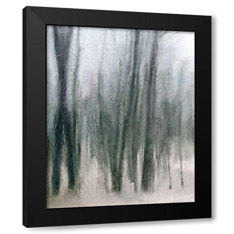 Shrouded Forest 2 Black Modern Wood Framed Art Print with Double Matting by Allen, Kimberly
