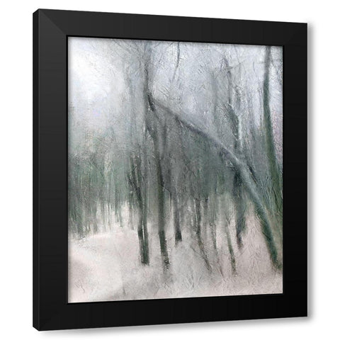 Shrouded Forest 3 Black Modern Wood Framed Art Print with Double Matting by Allen, Kimberly