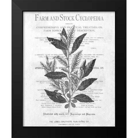 Defused Botanical 1 Black Modern Wood Framed Art Print by Kimberly, Allen