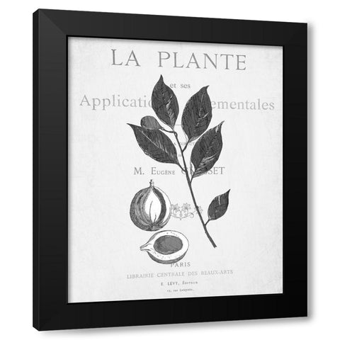 Defused Botanical 3 Black Modern Wood Framed Art Print with Double Matting by Kimberly, Allen