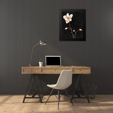 Magnolia on Black 1 Black Modern Wood Framed Art Print by Kimberly, Allen