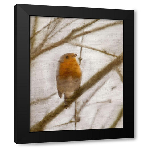 Bird on a Branch 1 Black Modern Wood Framed Art Print by Kimberly, Allen