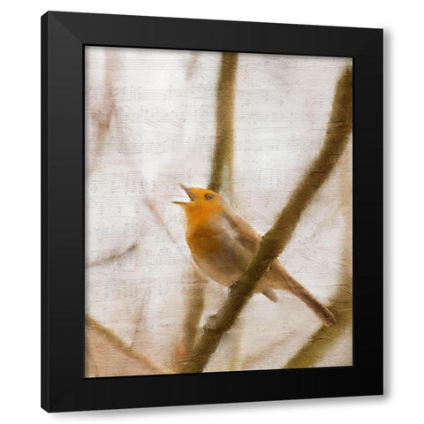 Bird on a Branch 2 Black Modern Wood Framed Art Print by Kimberly, Allen
