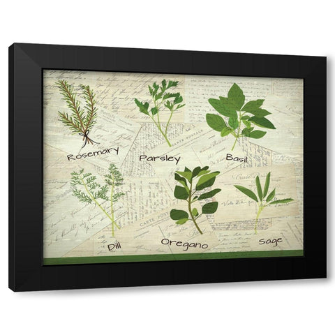 Fresh Herbs Black Modern Wood Framed Art Print by Kimberly, Allen