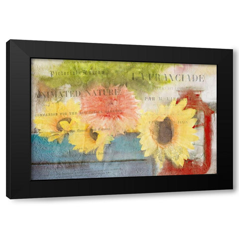 Day in the Garden Black Modern Wood Framed Art Print by Kimberly, Allen