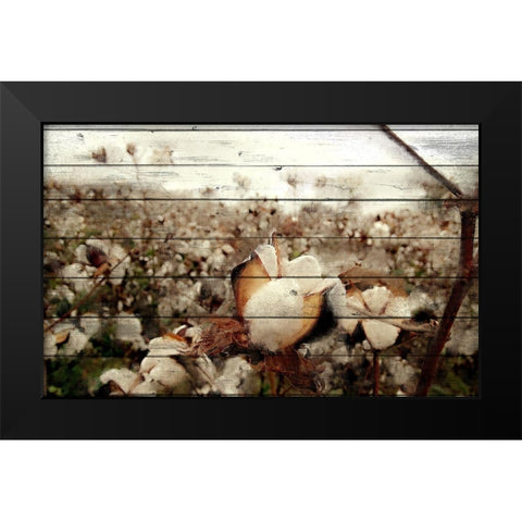 Cotton Field 1 Black Modern Wood Framed Art Print by Kimberly, Allen