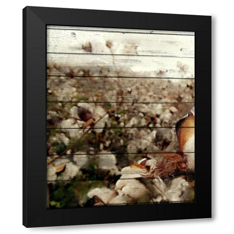 Cotton Field 2 Black Modern Wood Framed Art Print with Double Matting by Kimberly, Allen