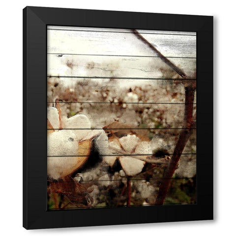 Cotton Field 3 Black Modern Wood Framed Art Print by Kimberly, Allen