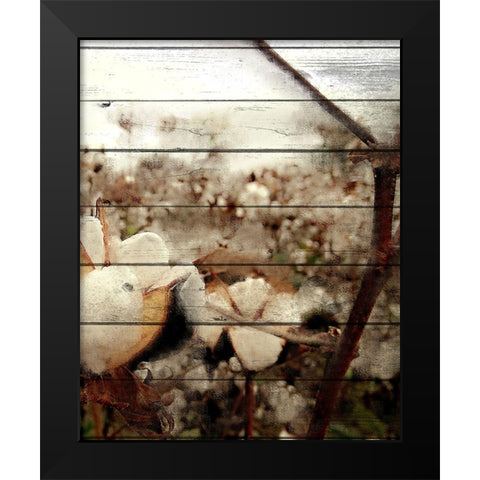 Cotton Field 3 Black Modern Wood Framed Art Print by Kimberly, Allen