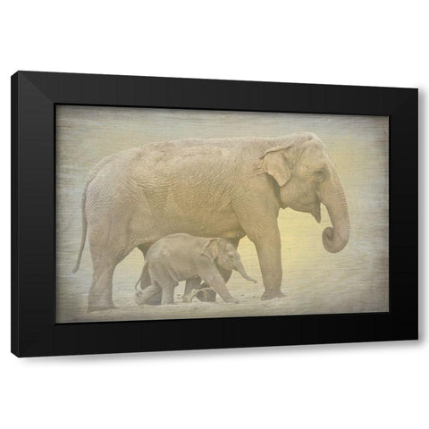 Side by Side Black Modern Wood Framed Art Print with Double Matting by Kimberly, Allen