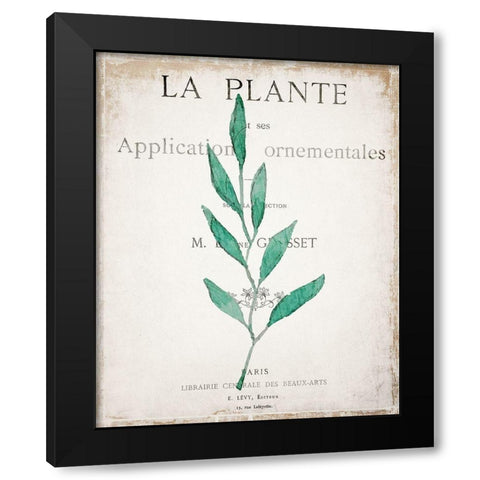 Botanical Pages 1 Black Modern Wood Framed Art Print by Kimberly, Allen