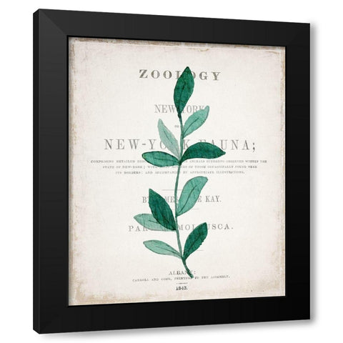 Botanical Pages 2 Black Modern Wood Framed Art Print by Kimberly, Allen