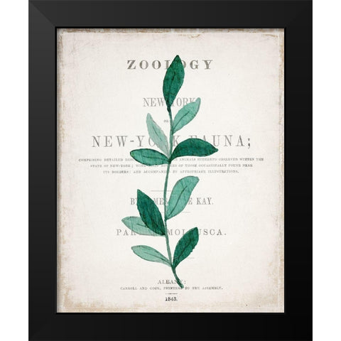 Botanical Pages 2 Black Modern Wood Framed Art Print by Kimberly, Allen