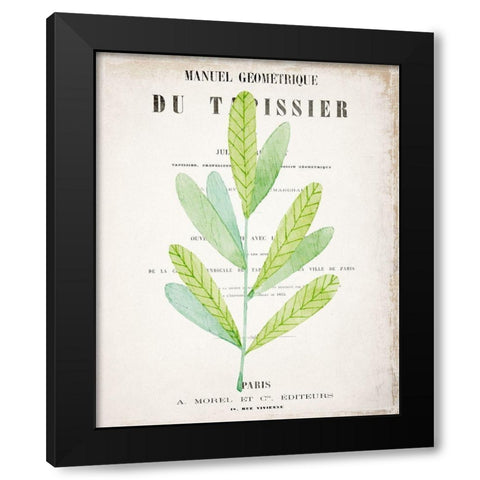 Botanical Pages 3 Black Modern Wood Framed Art Print by Kimberly, Allen