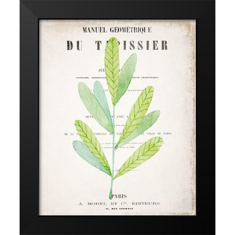 Botanical Pages 3 Black Modern Wood Framed Art Print by Kimberly, Allen