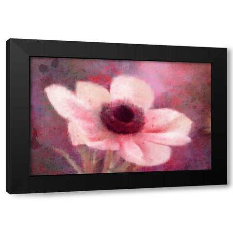 Blooming Pink Black Modern Wood Framed Art Print by Kimberly, Allen