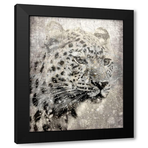 Winters Gaze Black Modern Wood Framed Art Print by Kimberly, Allen