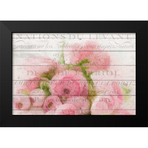 Roses in Paris Black Modern Wood Framed Art Print by Allen, Kimberly