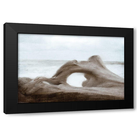 Driftwood Beach Black Modern Wood Framed Art Print by Kimberly, Allen