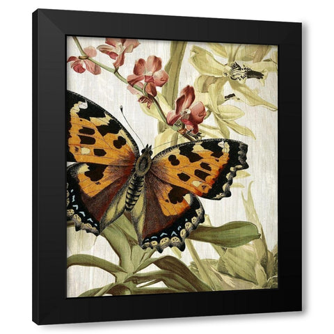 Butterfly World 2 Black Modern Wood Framed Art Print by Kimberly, Allen