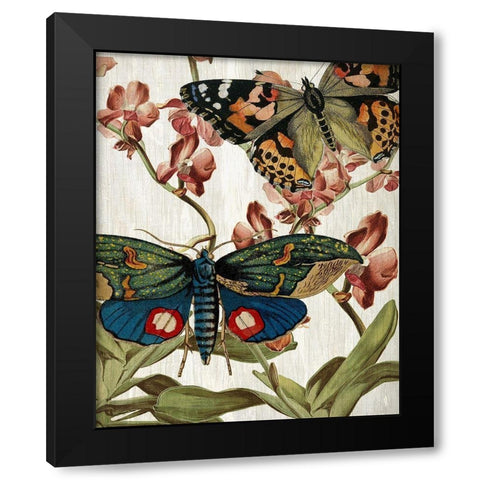Butterfly World 3 Black Modern Wood Framed Art Print with Double Matting by Kimberly, Allen