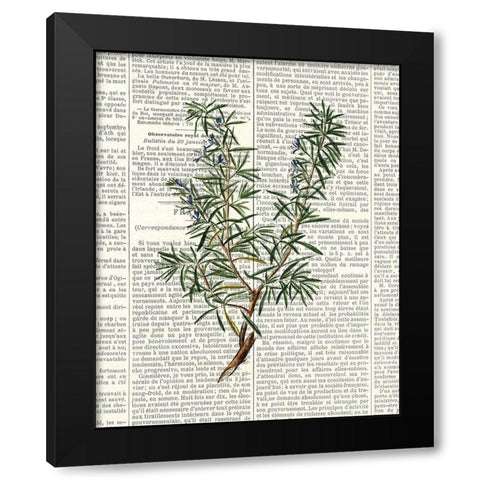 Fresh Herbs 1 Black Modern Wood Framed Art Print by Allen, Kimberly