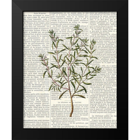 Fresh Herbs 2 Black Modern Wood Framed Art Print by Allen, Kimberly