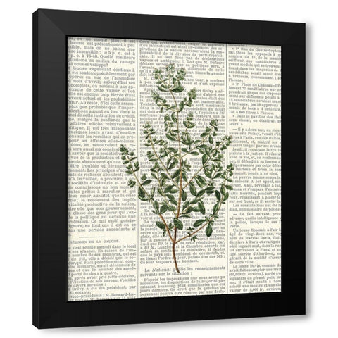 Fresh Herbs 3 Black Modern Wood Framed Art Print with Double Matting by Allen, Kimberly