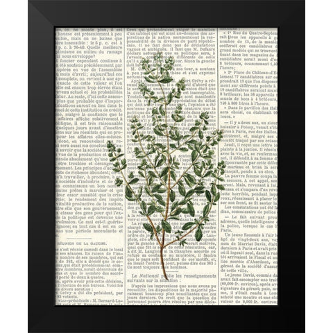 Fresh Herbs 3 Black Modern Wood Framed Art Print by Allen, Kimberly