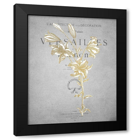 Gold Botanicals 1 Black Modern Wood Framed Art Print with Double Matting by Kimberly, Allen