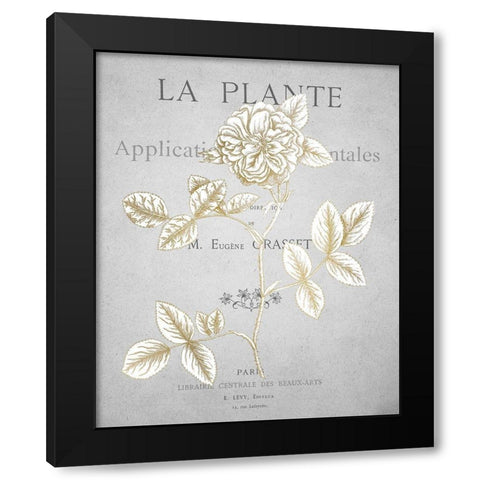 Gold Botanicals 3 Black Modern Wood Framed Art Print with Double Matting by Kimberly, Allen