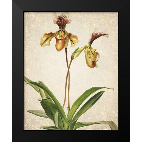 Orchids  1 Black Modern Wood Framed Art Print by Kimberly, Allen